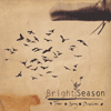 TINKER, SPRUNG, DUMPLETON - Bright Season